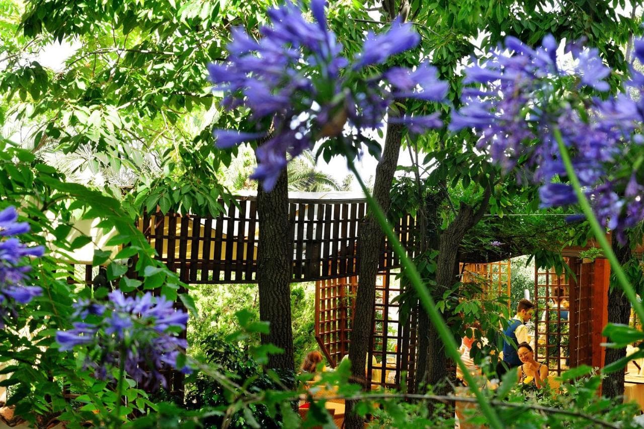 Alberi Del Paradiso