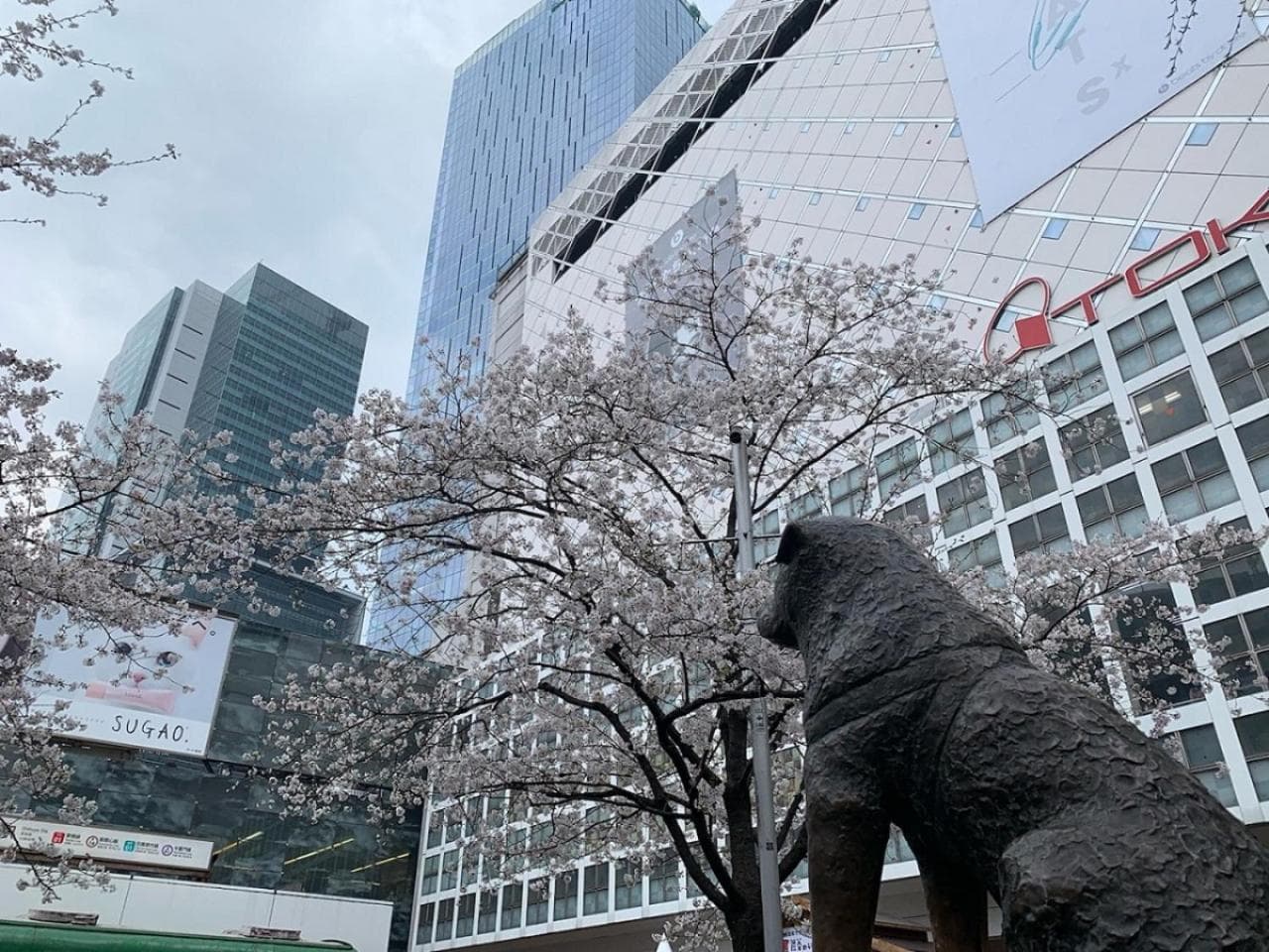 Apa Hotel Shibuya Dogenzakaue