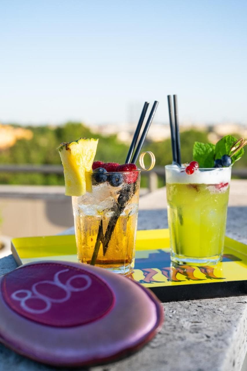 Hotel Ripa Roma