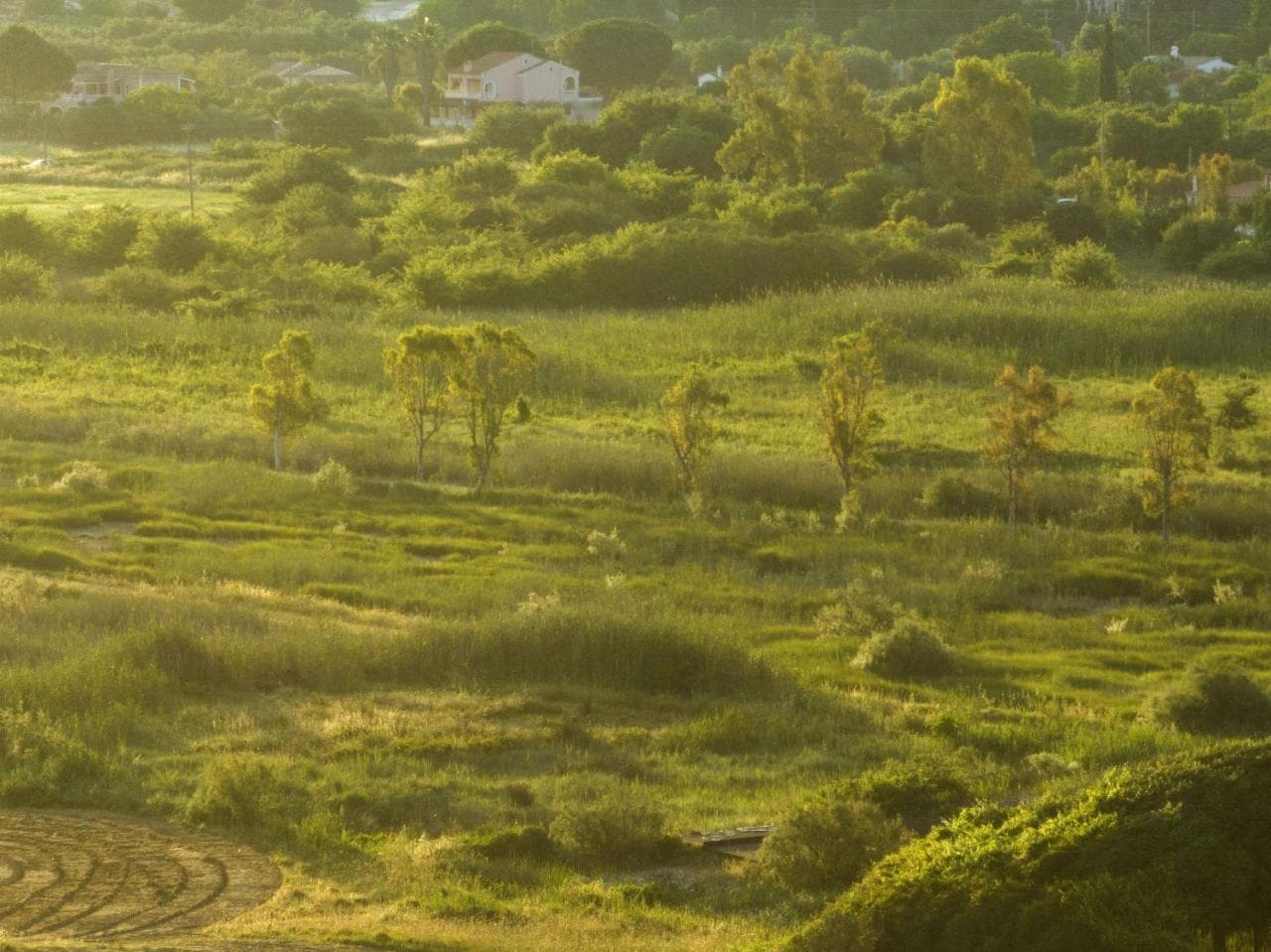 Grecotel Luxme Costa Botanica