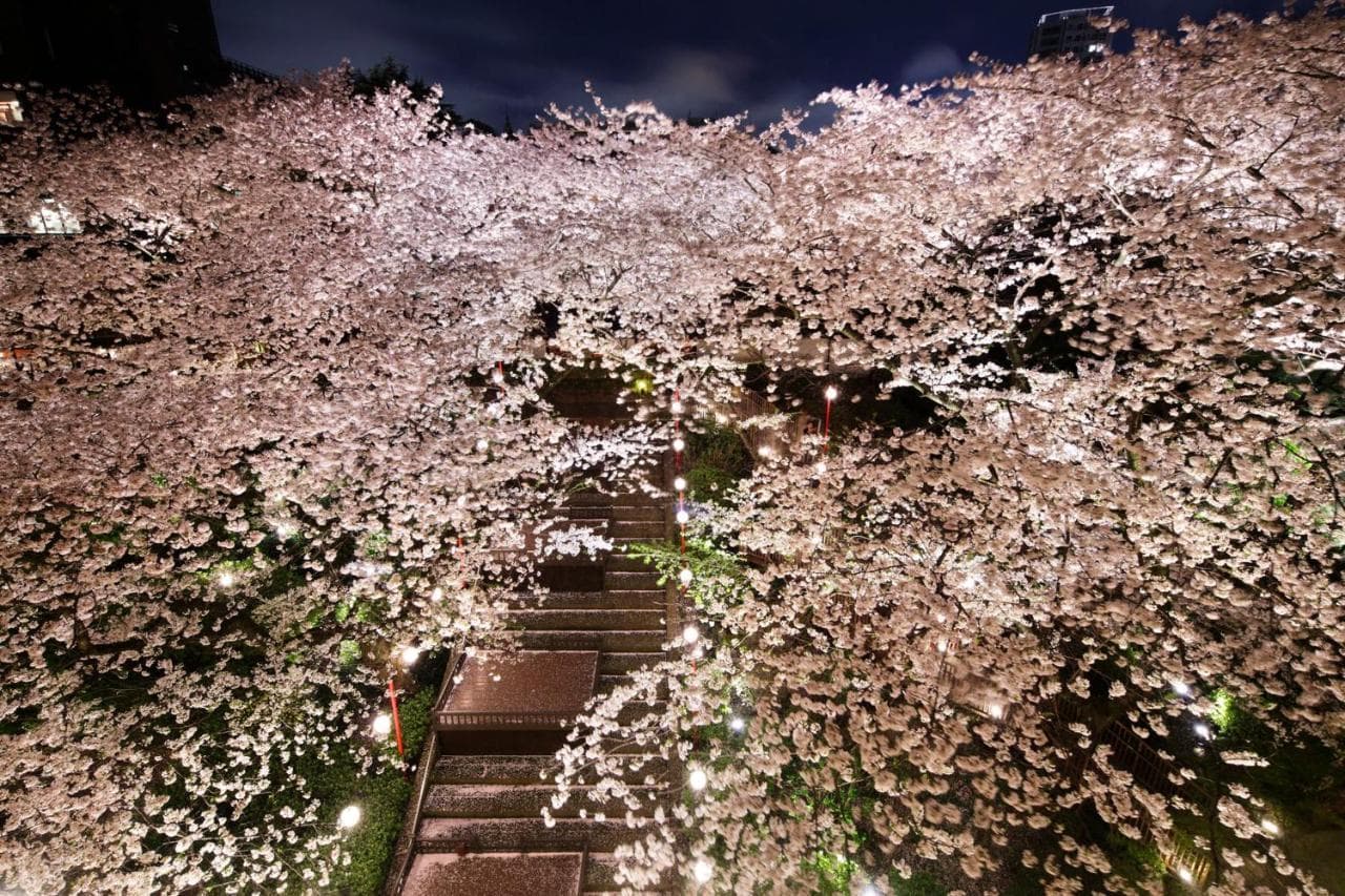 Grand Prince Hotel Takanawa